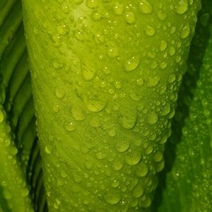 Meet your Posher, Dan